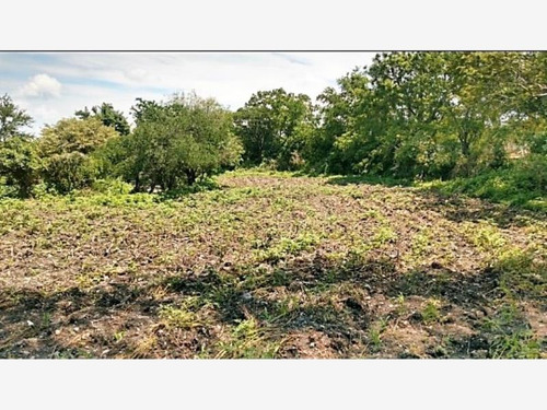 Imagen 7 de 7 de Terreno En Venta Alpuyeca , Morelos