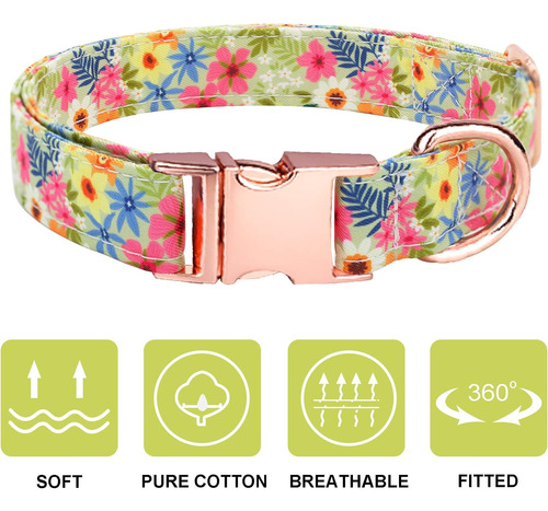 Juego De Collar Y Correa Para Perro Con Pajarita, Collar De