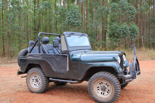 Imagem 1 de 12 de Ford Jeep Willys Jeep