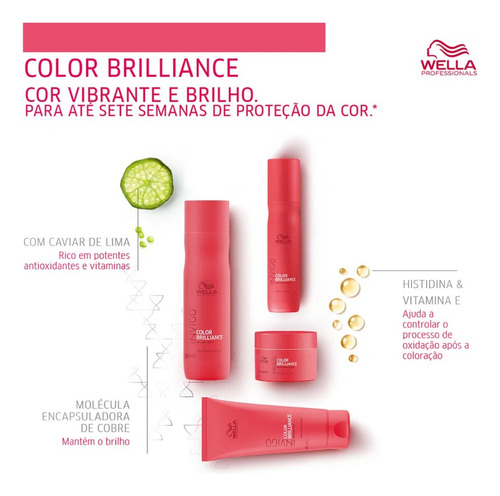 Kit Shampoo E Máscara Color Brilliance -wella Professionals
