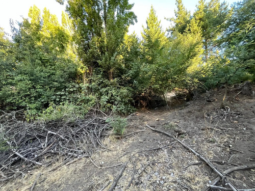 Invierte En Tierras: 3 Parcelas Bajo Valor De Mercado 2,22 H