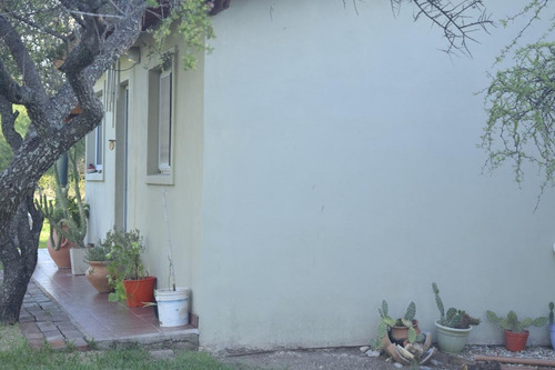 Imagen 8 de 28 de Casa - Cortaderas