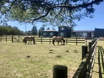 Comprar Venta Espectacular Chacra De 6500 Metros En Venta En El Quijote