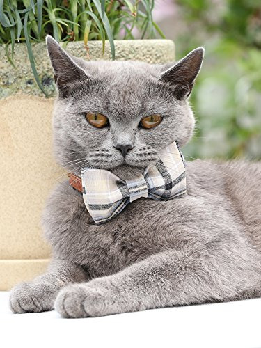 Collar Perro Y Gato Con Lazo Ajustable - Grid + Luz