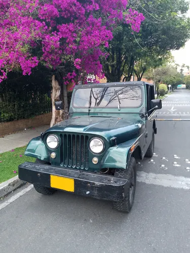 Willys
