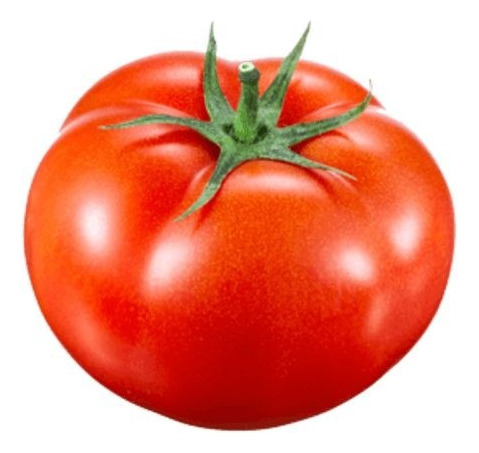 100 Semillas De Tomate Rojo Angolino 