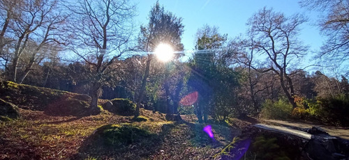 Imagen 13 de 14 de Moderna Casa En El Bosque Alquiler Hasta 4 Personas
