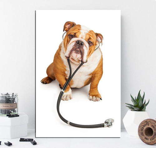 Cuadro 50x75cm Bulldog Veterinario Pet Shop Consultorio