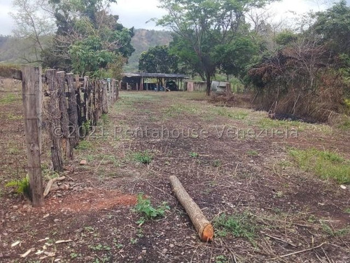 Imagen 6 de 8 de Finca Vallecito Carretera Vía San Sebastián De Los Reyes. Codigo 22-14451 Yinett A