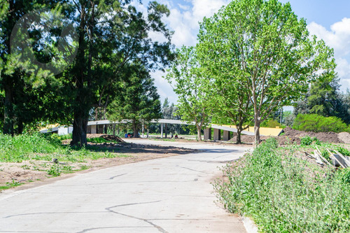 Lote Con Vista A Laguna En Venta - Barrio Cercana, Canning