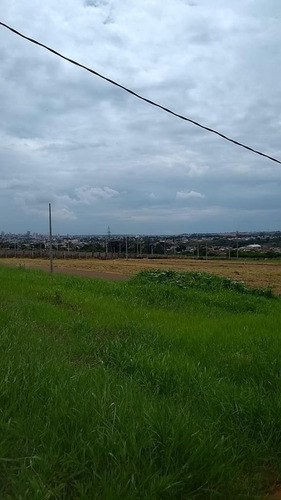 Terreno Em Marumbi, Londrina/pr De 0m² À Venda Por R$ 228.000,00 - Te930935