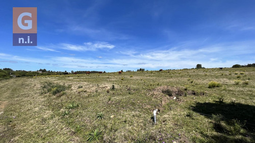 Campos Y Fracciones (ruta 9, Pan De Azúcar) Ref. 5631