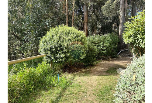 Jardin Privado Con Vista Privilegiada Al Mar