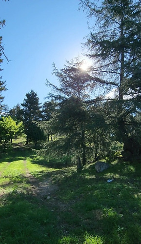 Venta 7 Hectareas Con Costa De Arroyo Casco De Estancia