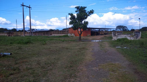 Imagen 6 de 10 de Finca En Guigue