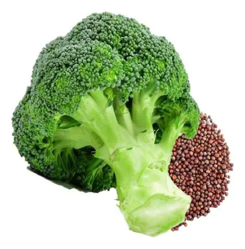 Semilla De Brócoli Sin Tratamiento De 80 Gramos