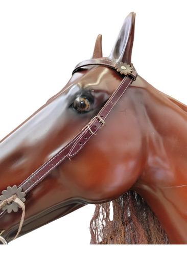 Juego De Arreos Para Caballo. Cabezada, Freno Y Rienda