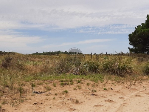 Imagen 13 de 18 de Chacras De 4,5 Hectareas Con Acceso A La Playa Zona Mar Azul