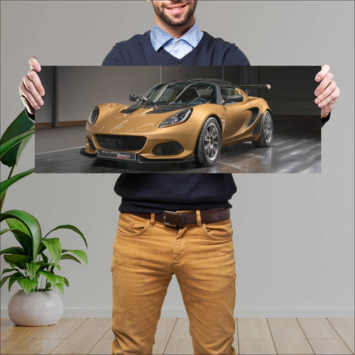 Cuadro 30x80cm Auto 2017 Lotus Elise Cup 260 735 167