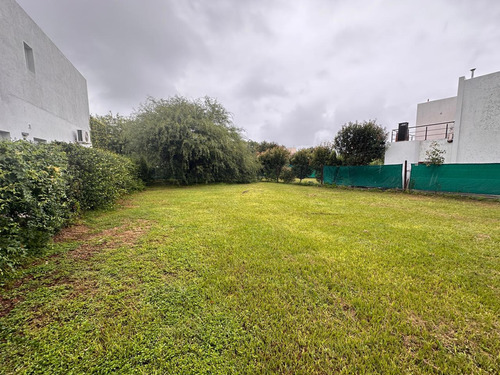 Terreno En Venta En La Estanzuela 500 M2