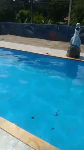 Imagem 12 de 15 de Sítio Com Piscina