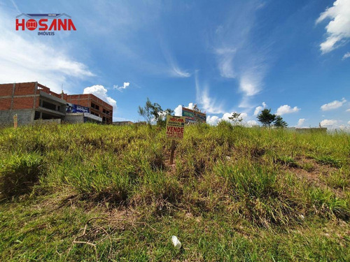 Imagem 3 de 6 de Terreno Comercial E Residencial A Venda Em Avenida - Te0411