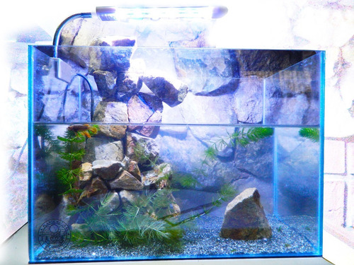 Cascada En Roca Hueso / Acuaterrario 35cmx 25cmx 18.5cm