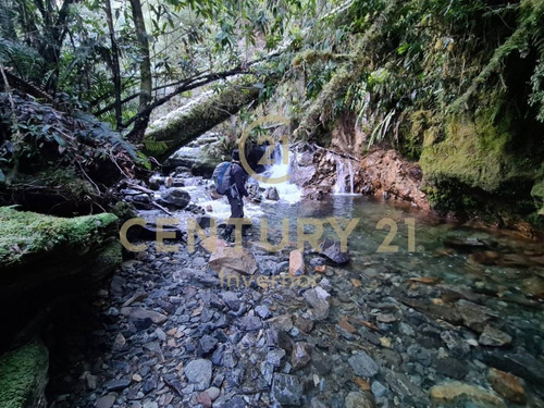 Imagen 14 de 14 de Espectacular Campo En Estero Plateado