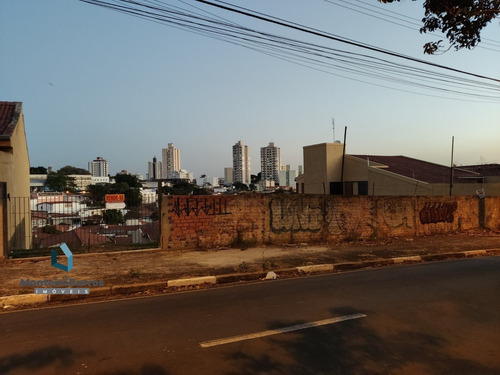 Terreno - Te00006 - 68206054