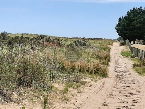 Imagen 17 de 18 de Chacras De 4,5 Hectareas Con Acceso A La Playa Zona Mar Azul