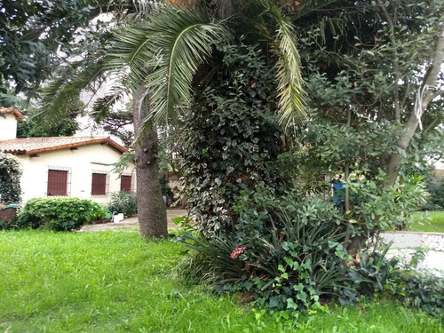 Imagen 5 de 6 de Quinta - El Jaguel - Ideal Inversores