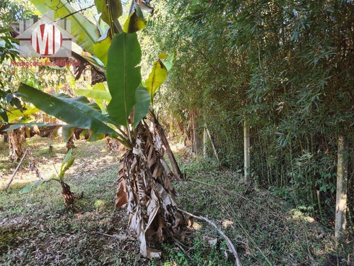 Imagem 20 de 30 de Ótima Chácara Com 2 Dormitórios, Córrego Nos Fundos, Pomar, Acesso Asfaltado, À Venda, 2000 M² Por R$ 280.000 - Rural - Socorro/sp - Ch1005