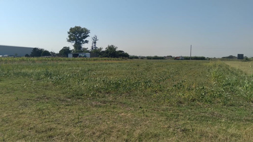 Imagen 3 de 6 de Venta - Terreno/lote Zona Industrial