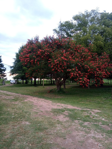 Casa De Campo En Alquiler