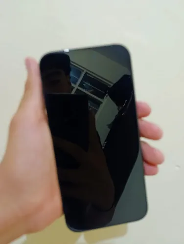iPhone 15 Plus (128 Gb) - Negro (Usado)