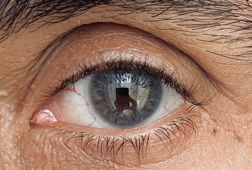 Imagen 4 de 9 de Siesta - Crystal Halo Gray - Lentes De Contacto