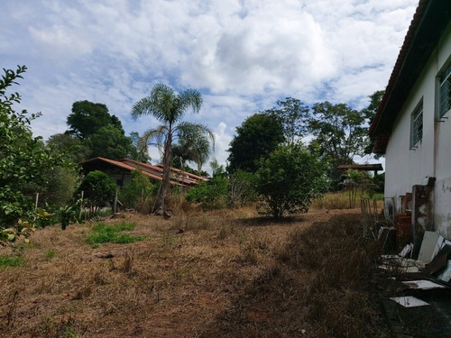 Imagem 13 de 14 de Chacara Ibiúna 2.000 Mts Ampla Casa, Pomar ! Esc. Registrada