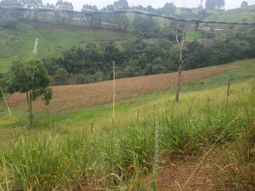 Sitio Em Caldas M G