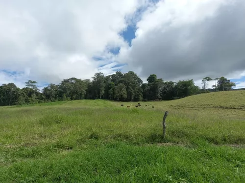 Vendo Finca Ganadera En Restrepo Valle