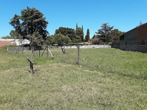 Lote En Rotonda El Ombu