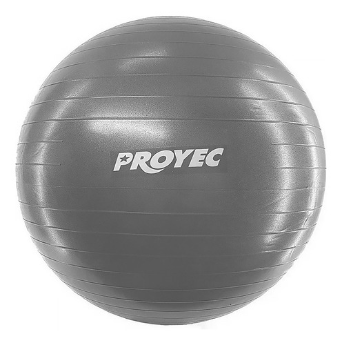 Pelota Esferodinamia 55 Cm Reforzada Proyec Yoga Pilates Fit