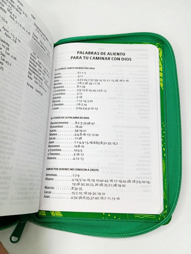 Biblia Interactiva Para Niños Rv1960 -con Cierre, Tela Verde