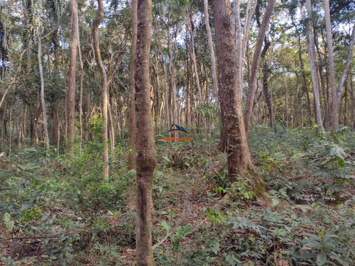 Imagem 2 de 6 de Terreno - Te00079 - 70044799