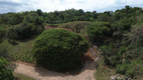 Vendo Solares En Este Proyecto En Samana 500 Metros Adelante