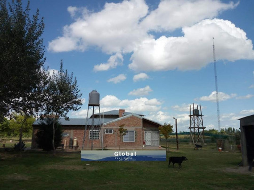 Imagen 8 de 26 de Excelente Finca De 31 Has En San Rafael , Mendoza Zona Vitivinícola Argentina
