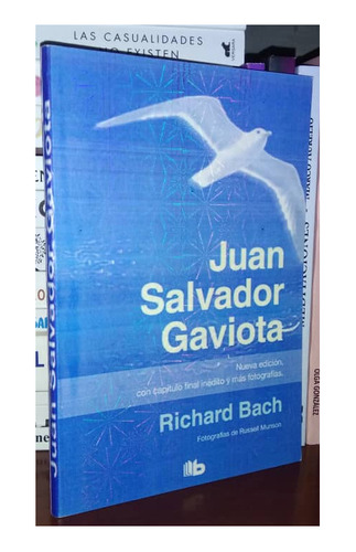 Juan Salvador Gaviota De Richard Bach Reflexión  