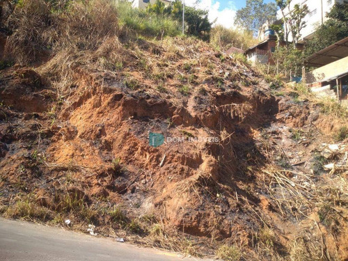 Imagem 3 de 12 de Terreno À Venda, 520 M² Por R$ 56.000,00 - Lourdes - Juiz De Fora/mg - Te0236
