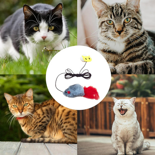 Juguete Para Gatos Con Cuerda Juguete Para Gatos Con De Rató
