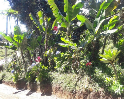 Imagem 19 de 19 de Chácara À Venda Em Juquitiba - 270 - 32982810