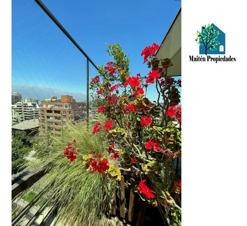 Nuevo Precio Precioso Penthouse Con Terraza Panorámica.